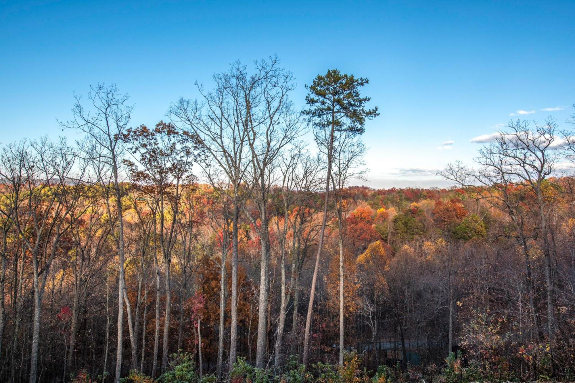 The Treetop Sanctuary Villa Sevierville Luaran gambar